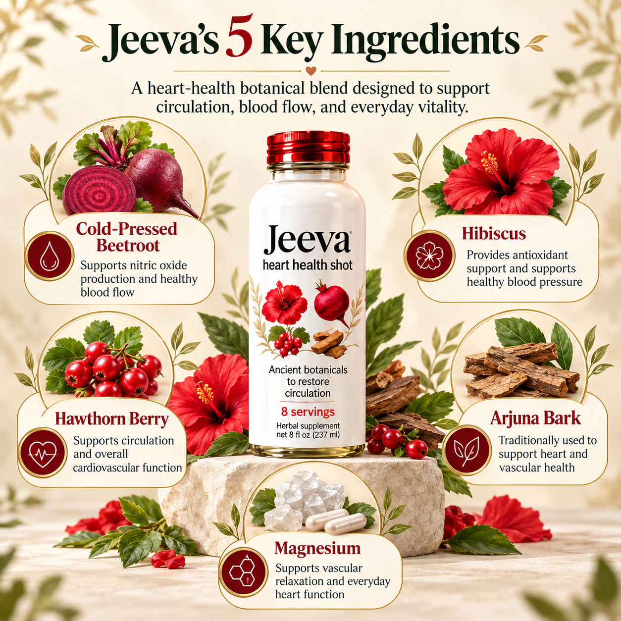 Jeeva's 5 key ingredients infographic showing the Heart Health Shot bottle surrounded by cold-pressed beetroot, hibiscus, hawthorn berry, arjuna bark, and magnesium