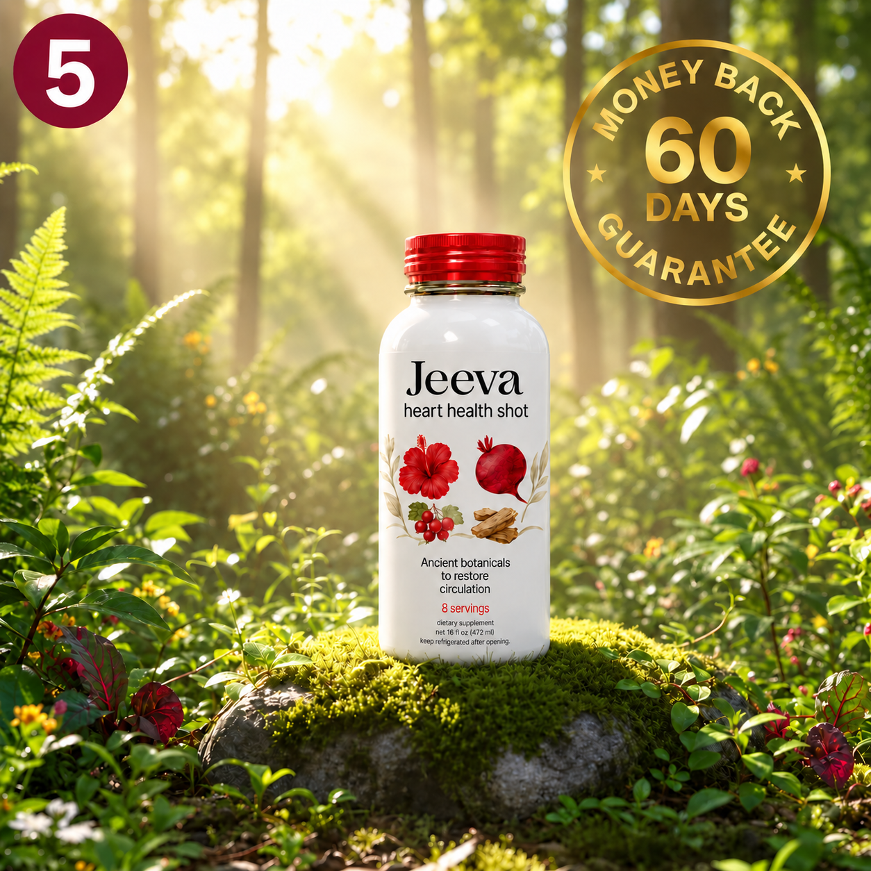 Jeeva Heart Health Shot on a mossy forest rock with a 60-day money-back guarantee badge